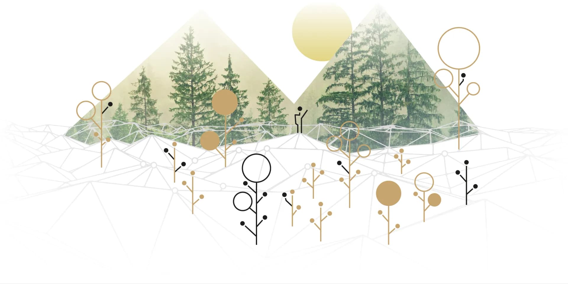 Keyvisual für die Seite - Für Forschende